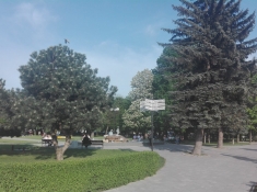 Park Miejski