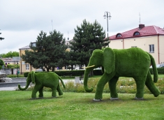 Slonie i smokokrokodyl zamieszały w naszym mieście