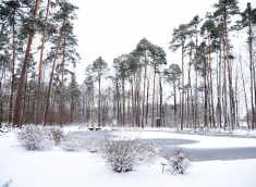 Zima w Janowie Lubelskim. Zaglądamy do leśnego aroboretum