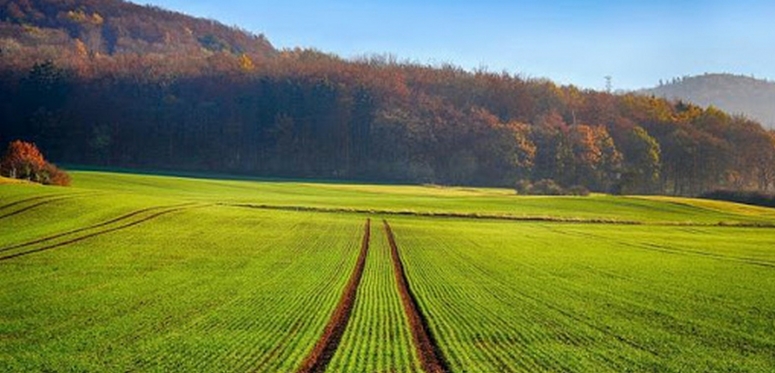Giełdowy Rynek Rolny utworzony w ramach projektu „Platforma Żywnościowa"