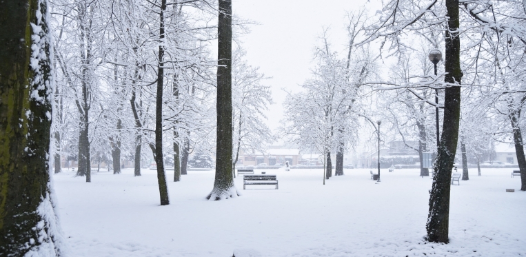 Śnieżny poniedziałek w Janowie Lubelskim