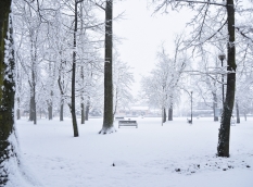 Śnieżny poniedziałek w Janowie Lubelskim