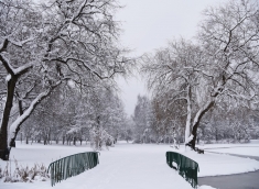 Park Misztalec i Leśne Arboretum w zimowej odsłonie