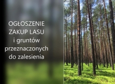 Nadleśnictwo Janów Lubelski informuje o chęci zakupu lasów lub gruntów przeznaczonych do zalesienia