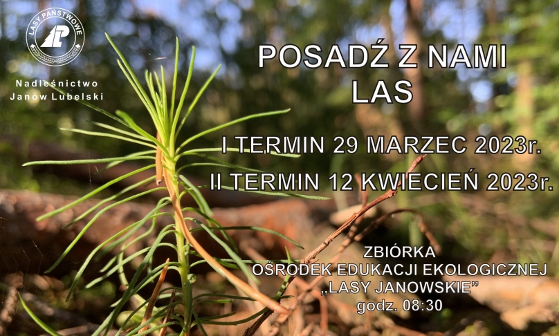 Nadleśnictwo Janów Lubelski zaprasza do wspólnego sadzenia lasu -  29 marca i 12 kwietnia