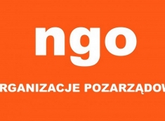 Wsparcie Organizacji Wolontariatu w NGO – WOW w NGO!